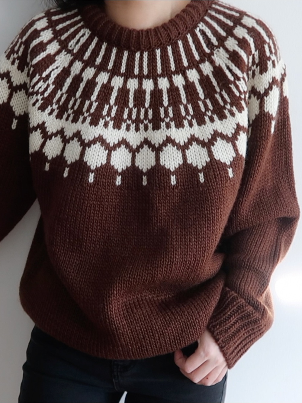 PONYTAIL Patterned Crewneck Sweater